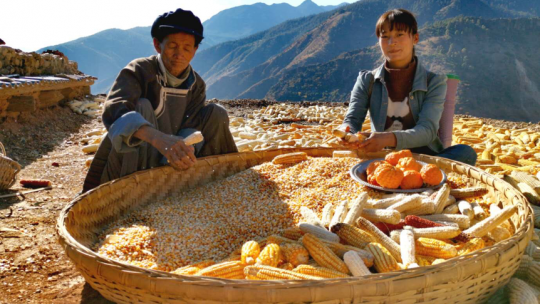 RELATED READ: Working with nature to build back better from COVID-19: inspirations from farmers in China -->  https://www.iied.org/working-nature-build-back-better-covid-19-inspirations-farmers-china Working with nature to adapt to climate change can offer valuable lessons on how to build back better from COVID-19.  #DCdays20