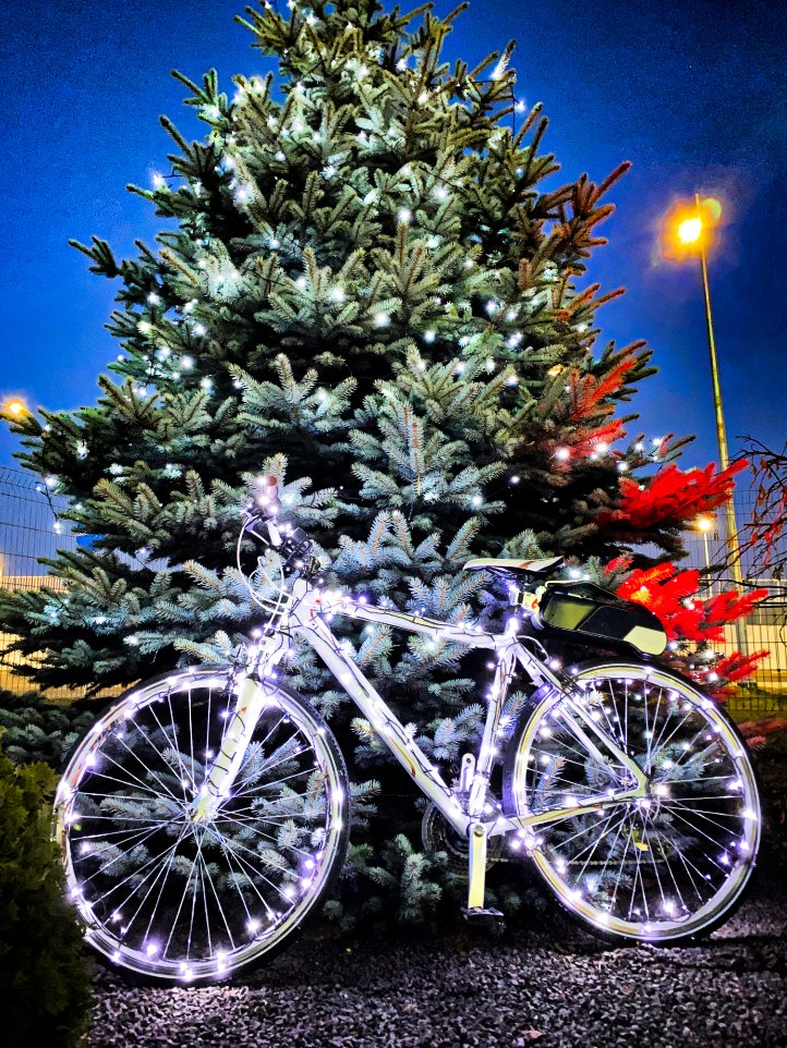 RubbeeDrive's tweet image. Those Christmas lights light up the streets! 🎶
Use promo code RBXMAS to get a 10% discount -&amp;gt; rubbee.co.uk
🚴⚡

#rubbee #ebike #electricmobility
#Christmastime #giftideas