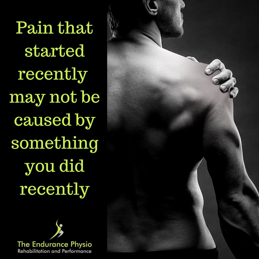 The Endurance Physio tweet media