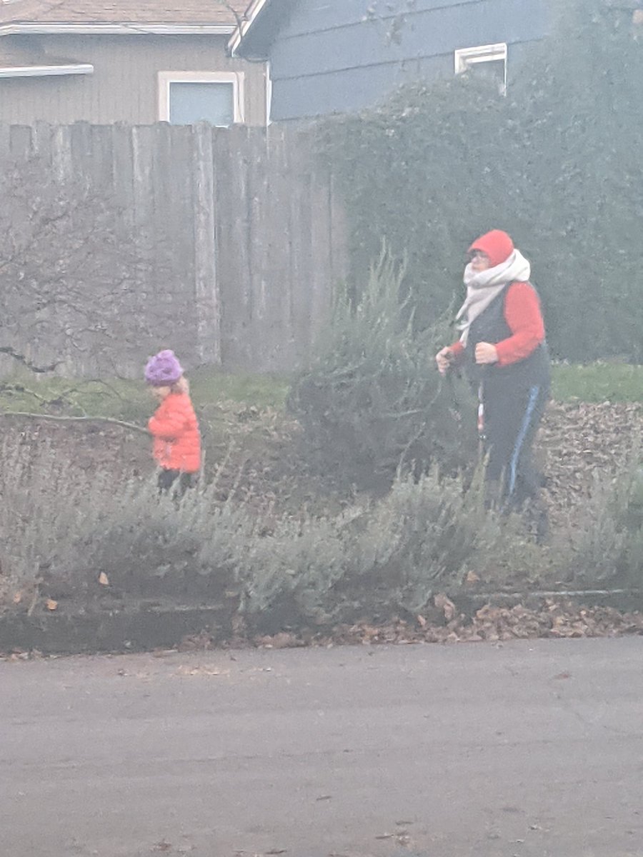 sanjmahal's tweet photo. I really thought this was Santa Claus at first glance smh https://t.co/0Lrnd8j7Xu