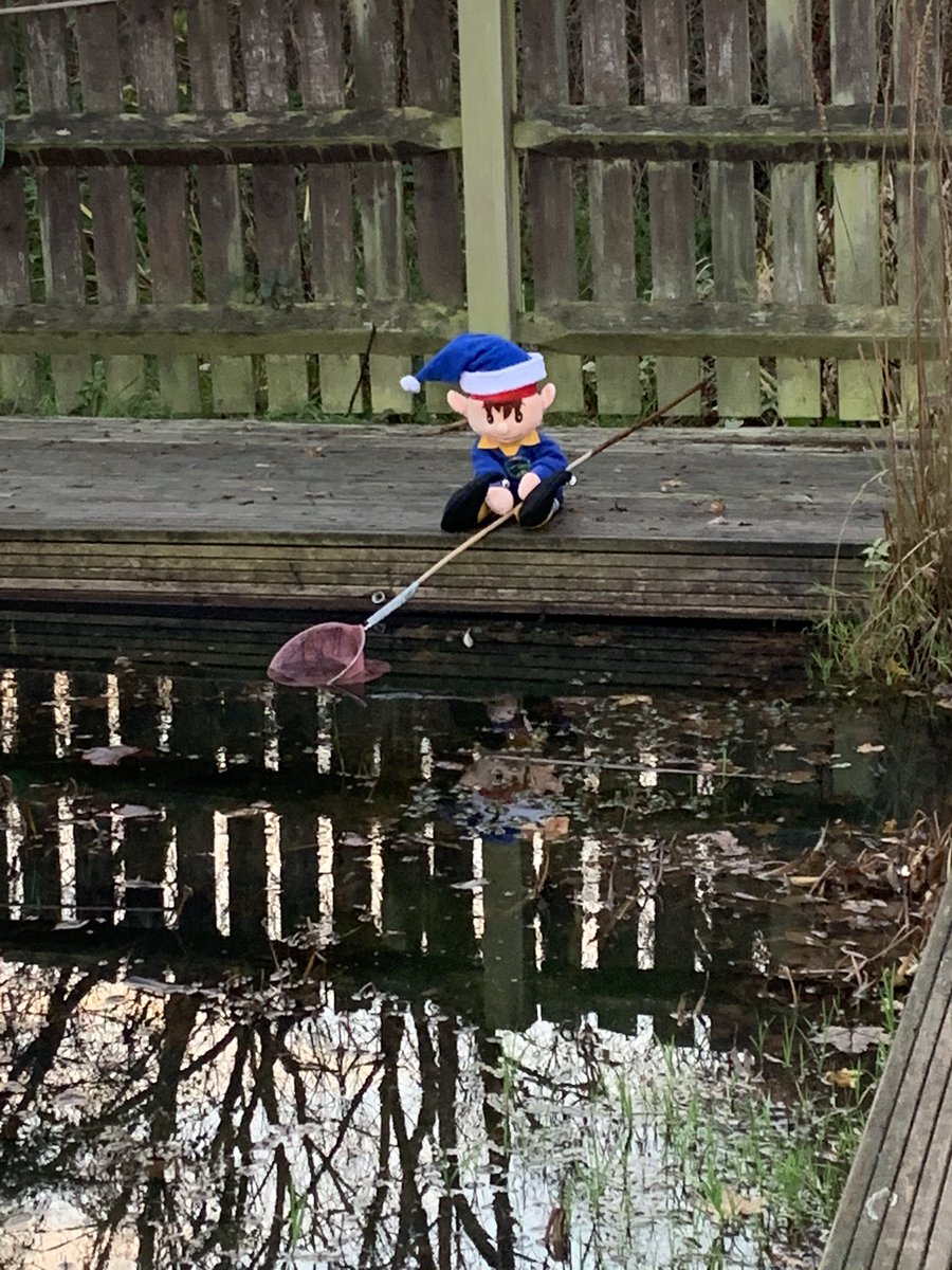 HillsideHead's tweet photo. Look where I found Sprinkles the Hillside Elf today. He was fishing in the pond ! https://t.co/LRAt1pTO6b