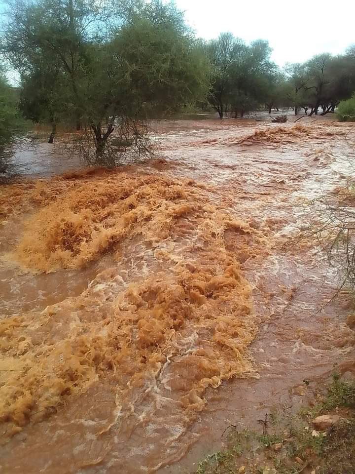 MatlamelaLesiba's tweet image. 🌧️Pula e sentse #lephalale 🤦🏻‍♂️🤦🏻‍♂️🤦🏻‍♂️🤦🏻‍♂️🤦🏻‍♂️🤦🏻‍♂️🤦🏻‍♂️🤦🏻‍♂️🤦🏻‍♂️