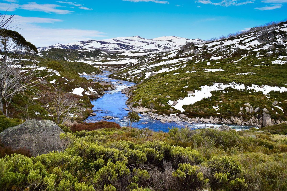 Snowy Mountains, NSW
#Australia #mountain #Australianalps #landscape #landscapephotography #photography #PhotoOfTheDay #photo #NaturePhotography #nature #hiking #spring #写真好きな人と繫がりたい #写真 #ファインダー越しの私の世界 #風景 #風景写真 #オーストラリア