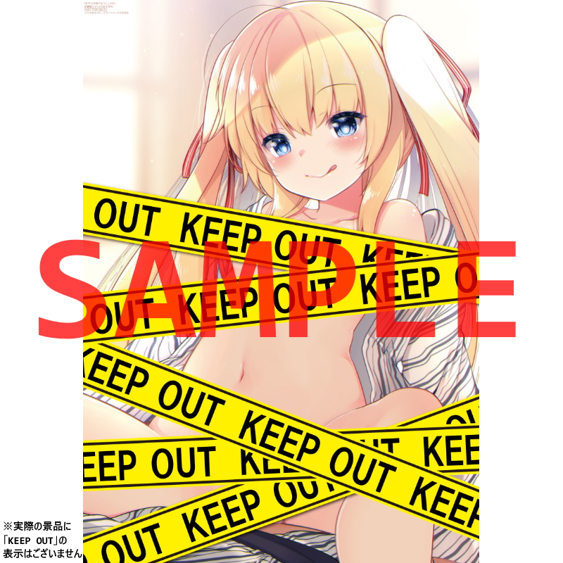 とらのあな 公式 50pt B2タペストリー 2 2 鳴見なる Naruminaru3 ラーメン大好き小泉さん 藤崎ひかり Pedori3 女子小学星のおうじょさま Kakeru Barkakeru ふかふかダンジョン攻略記 俺の異世界転生冒険譚 T