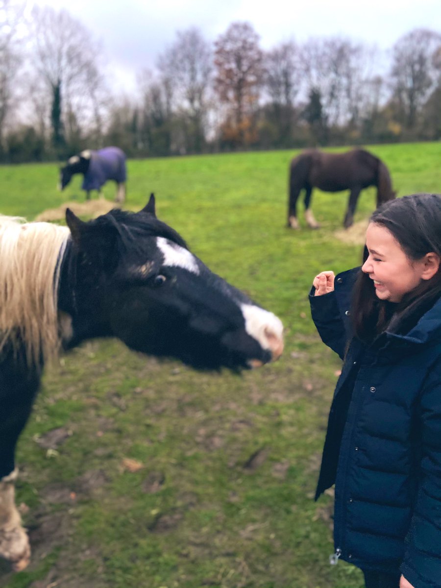 KerrieGibbons's tweet photo. He might be a scruffy old field pony to some but to us and especially Dottie he’s her absolute world! The smiles speak for themselves! 😃🐴#DottieandDel #firstpony #confidencegiver #bombproofpony #smile #Happiness #loveinlockdown #ponyhour https://t.co/viIQvPu2BQ