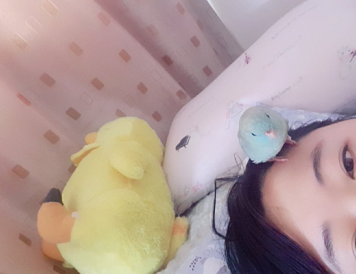 내가 집에서 항상 같이 있어줄수없으니 이정도 관계에 만족하고있지만 가끔 생사확인 받으면 두근거린다 힝 하층민 챙겨줘서고마워 