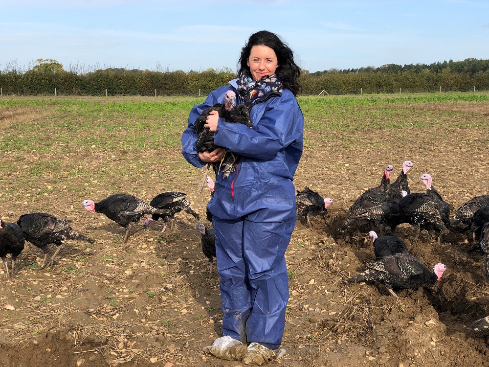 .<a href="/TradNfkPoultry/">Traditional Norfolk Poultry</a> is launching a new initiative to help wildlife on its turkey farms #poultry #turkey 
poultrynews.co.uk/production/tur…