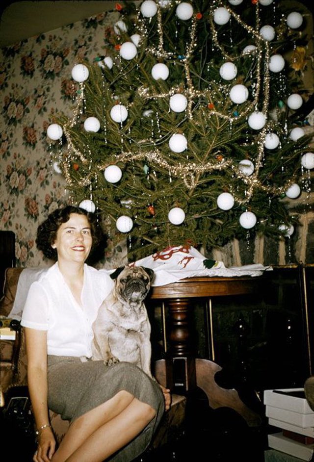 Photos of women posing with their Christmas trees (1950s/60s)Love them all.Enjoy!!