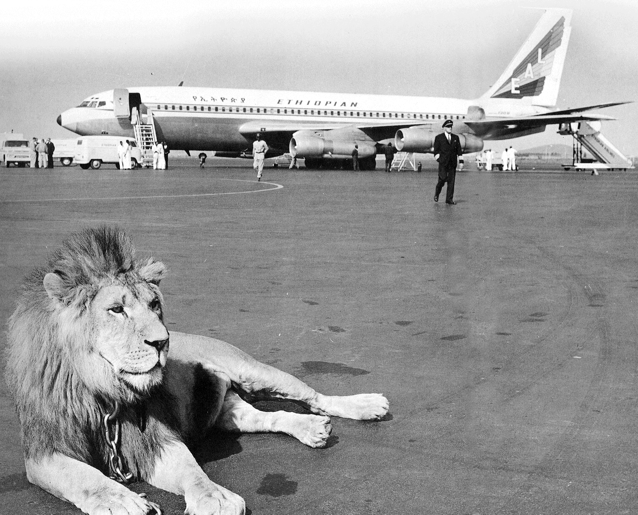 Ethiopian Airlines on Twitter "Precious and timeless old memories of the giant airliner! 