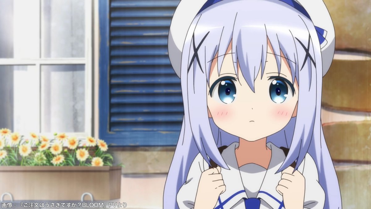 ライブドアニュース 動画リンク ご注文はうさぎですか 第1羽 ひと目で 尋常でないもふもふだと見抜いたよ T Co Tvrzgdvme7