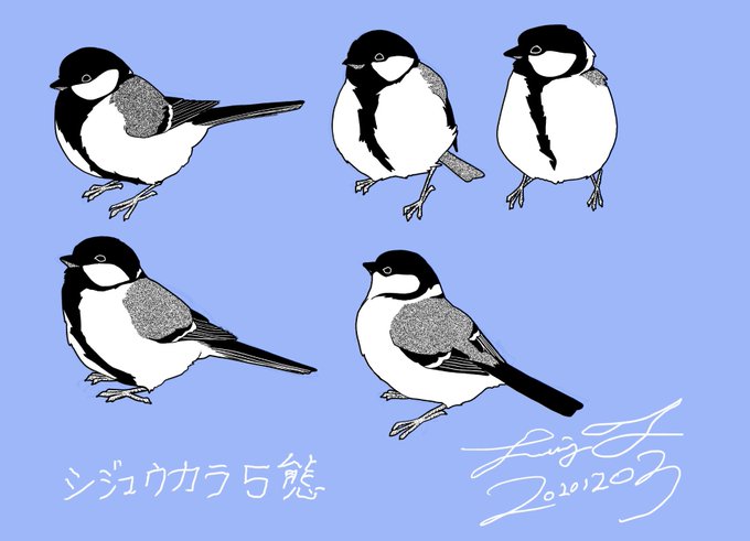 シジュウカラのtwitterイラスト検索結果 古い順 シジュウカラのtwitterイラスト検索結果 古い順