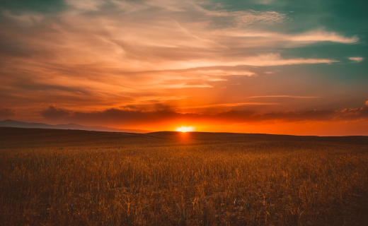 Ahorrar en tus facturas de la luz es más fácil de lo que piensas. Tu pones el tejado y nosotros nos encargamos de todo. 💚
¡Genera tu propia energía gracias al sol! ☀️
#EnergíaSolar #ProyectosEficientes #AhorroEnergético https://t.co/zHgP9E23h1