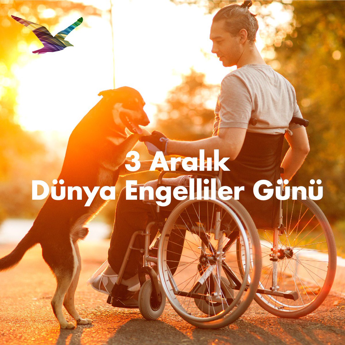 Bugün 3 Aralık Dünya Engelliler Günü. Toplumsal farkındalığın arttığı, engelsiz bir yaşam için empati ve sevgi ile hareket ettiğimiz bir dünya diliyoruz. #3Aralık #DünyaEngellilerGünü