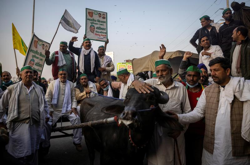 India resumes talks with protesting farmers over agriculture reforms https://t.co/YougfeXysu https://t.co/SQRzwTy4Ad