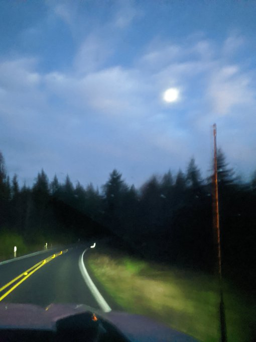 Some trippy dusk shots coming out of the forest https://t.co/Z1YrhlCqSN
