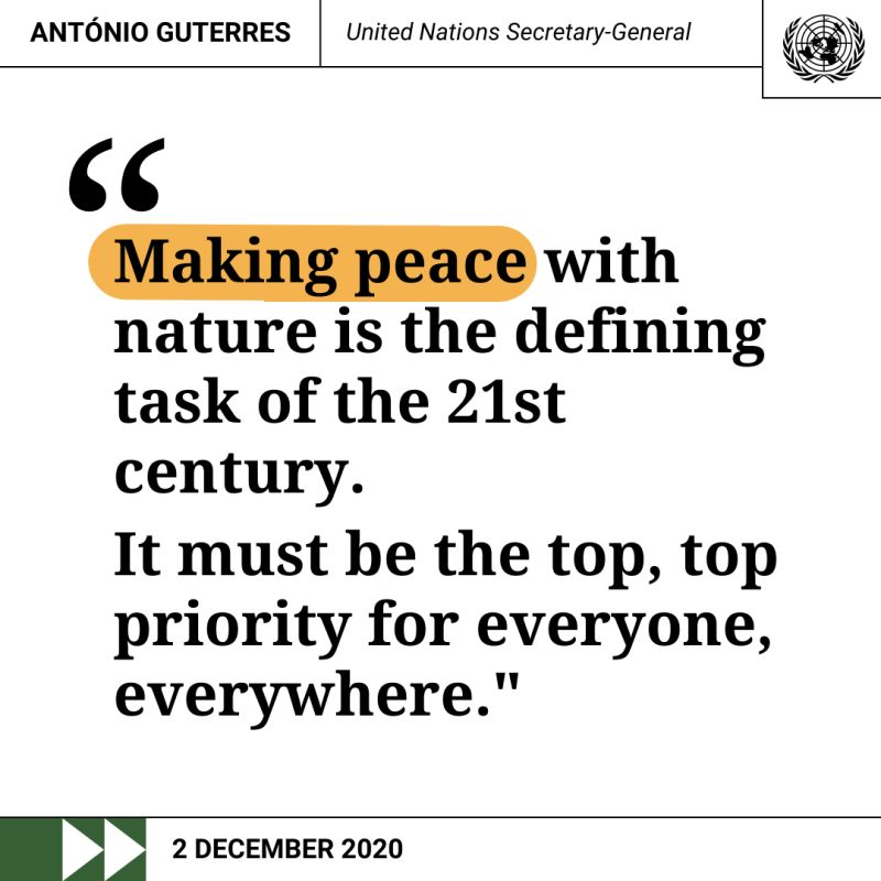 MoneyDook's tweet photo. @antonioguterres @UN, We fully agree with you! and Dook application will help in that renaissance! #savetheplanet https://t.co/suoxuWYgwa