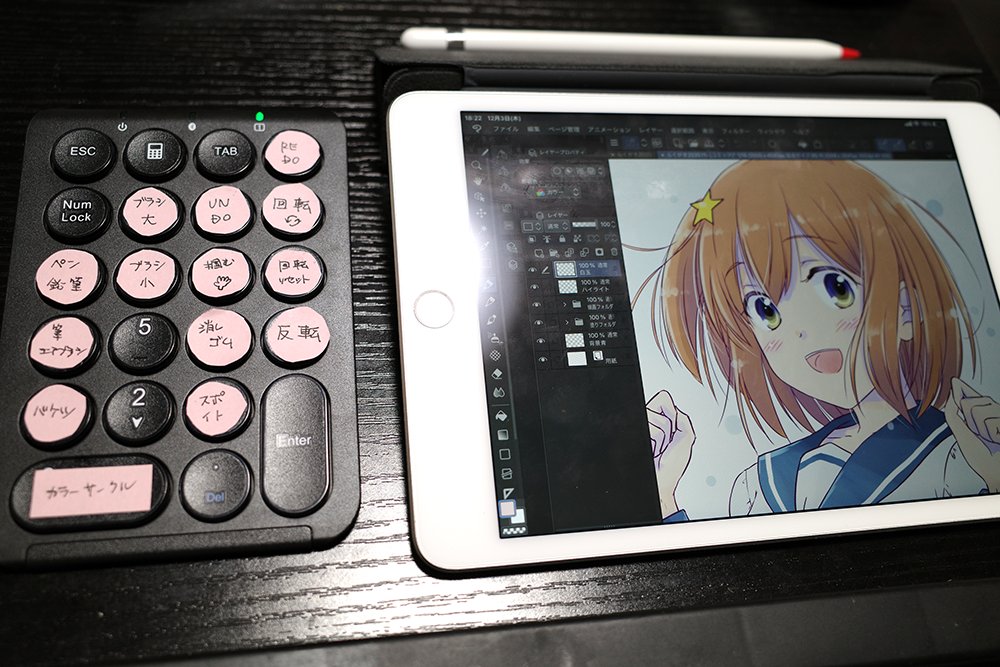むぎ Ipadのクリスタ で左手デバイス用に使うテンキー届いたので 自分なりにショートカット割り当てた Tabmateみたいに押してる間だけ消しゴムになる みたいなのが出来なさそう かな なのが残念だけど それでも十分使い勝手上がるかな 右はipad Mini