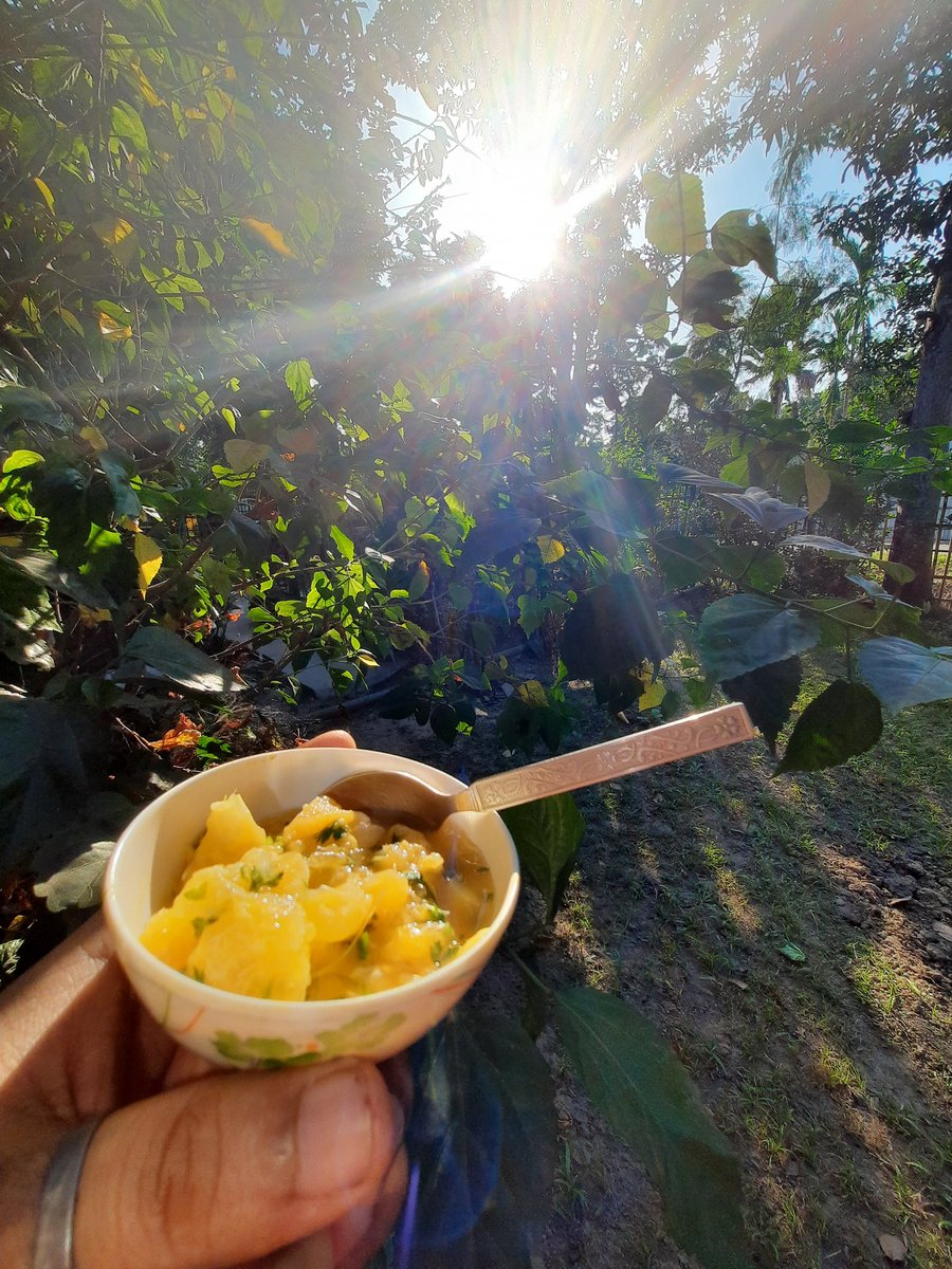 Why take medicine? When you have #HomeRemedies 😊

Orange 🍊 is known to be a vital source of Vitamin C, and is good to maintain a healthy immune system. 

#StaySafe #EatHealthy #TheWritingDesire