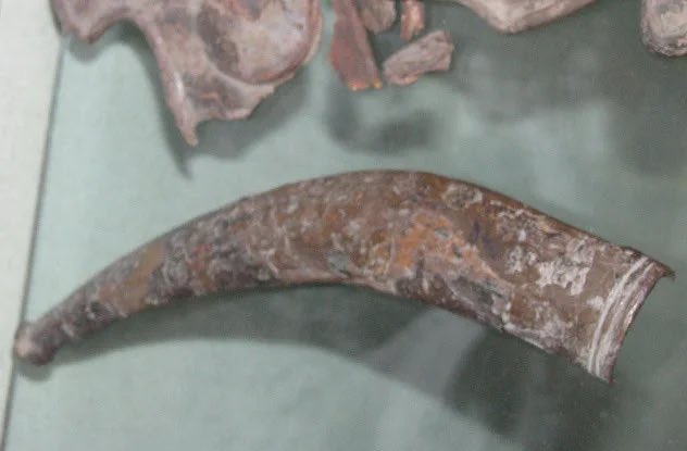 5 The SicariiThe Sicarii were Jewish assassins named for their weapon of choice, a curved dagger called a sica. They received the name from ancient Greek historian Josephus, who wrote about the anti-Roman group’s preferred method of killing. While they were known for their..