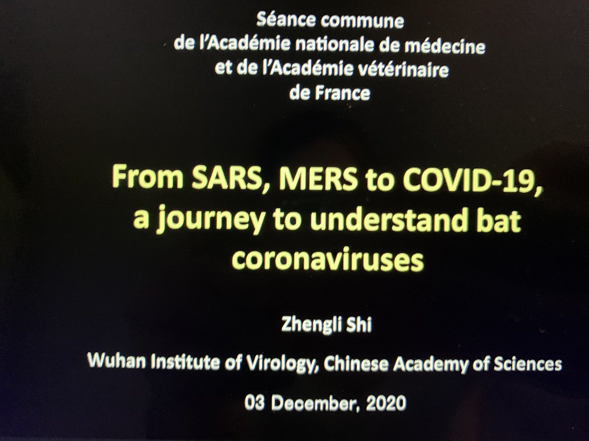 docdoleac's tweet image. Présentation de Zengli Shi, « chasseuse » de nouveaux virus au sujet du Sars-CoV-2 pour la séance @BulletinFrance et @acadmed