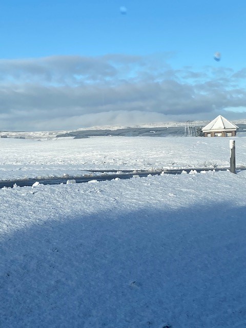 It's beginning to look a lot like Christmas 🎅🤶🧙

#westerwood #snow