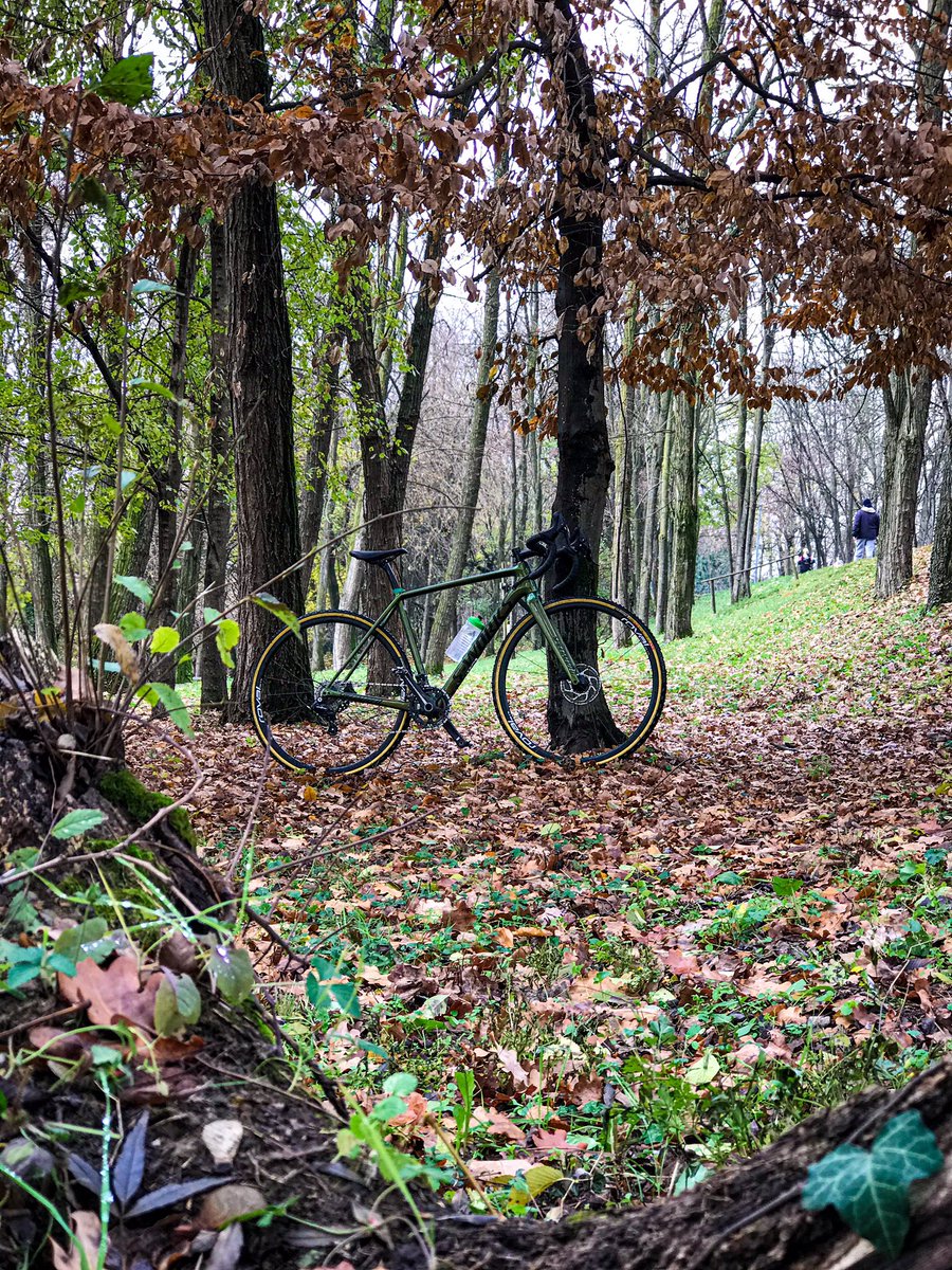 ILENIALazzaro's tweet photo. E’ Dicembre ma la natura non lo sa.
It’s Dicember but for Nature it’s still fall 🍂🍂🍂

#amazingcolours #fall #gravelroads #cxroads #cyclocross #cruxlife #sworkscrux #crossisboss #gravellandoconIlenia #scratchtv @gravel_bike_world https://t.co/OKCArRuzOQ