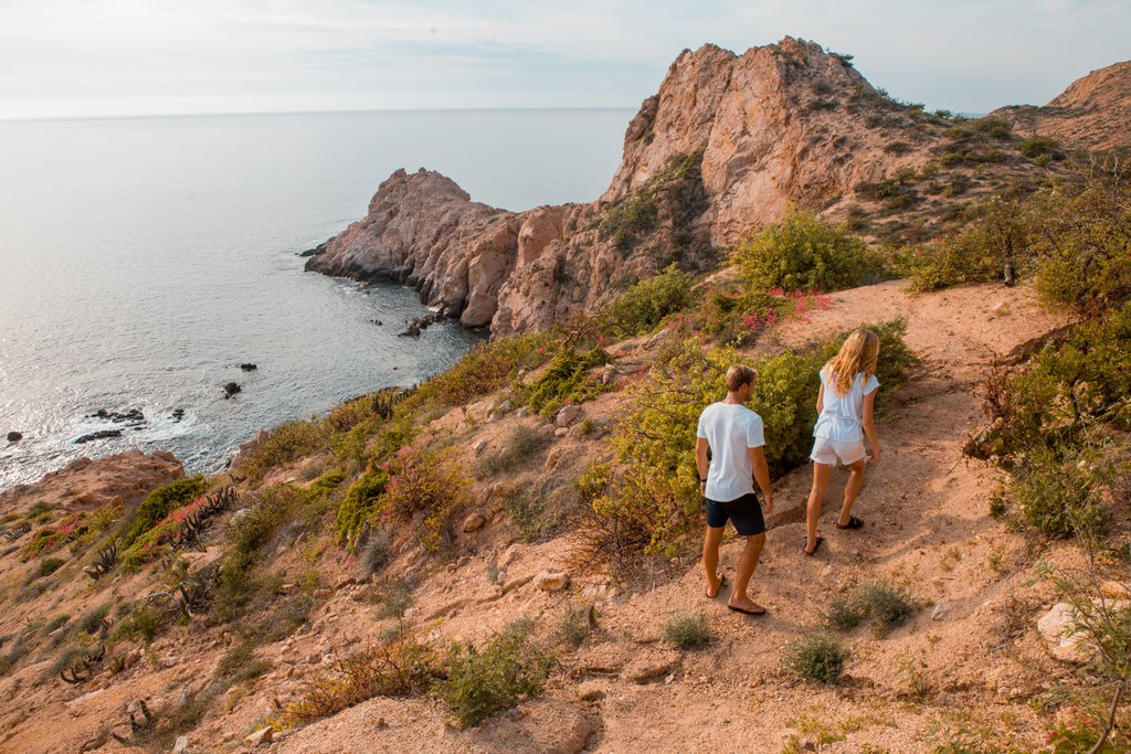 A long walk on the beach is undoubtedly lovely, but a beautiful hike in the Los Cabos desert is equally spectacular.
DM me today to book your trip!

#loscabos #visitmexico #hiking #traveltips #travelinsider #deserthiking  #TravelWithGreatCompany #TravelDream #ReturnToTravel