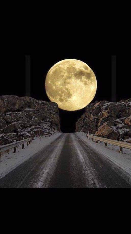 1er déc.16h13· 
Photo de la lune 🌕prise sur la rue Atlantique en Norvège; décrite comme la plus belle scène de tous les temps par la BBC