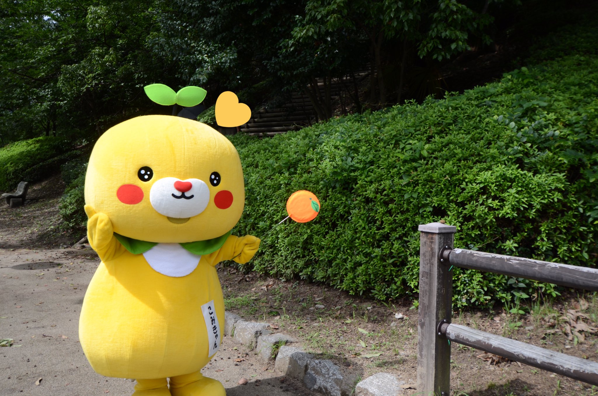 こみきゃん 公式 愛媛県 Uchinokomican Twitter