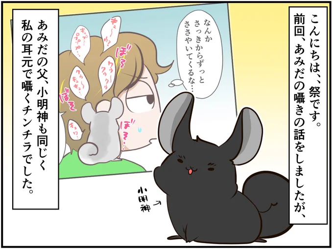 チンチライフ更新されてます～?久しぶりの小明神の話!続き? チンチラ#chinchilla#漫画が読めるハッシュタグ#エッセイ漫画 