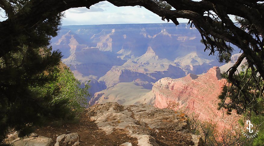 DC_Foliography's tweet photo. The rust red, dusty pink and smoky rock walls and steep cliffs are only a small part of the entire Grand Canyon experience, AZ #photography #art https://t.co/3clLX2ATij