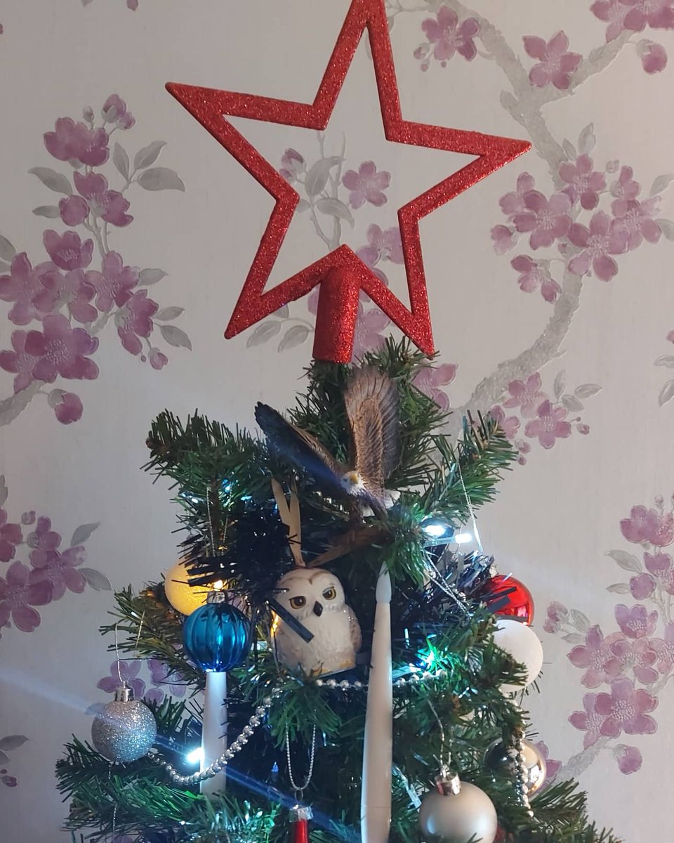 ClairesHome1's tweet photo. When your hubby &amp; son ask for a @CPFC themed Christmas tree! Even manged to balance the #Eagles on it 🤣 @JoeDelaney343 https://t.co/k9wTGop4Px