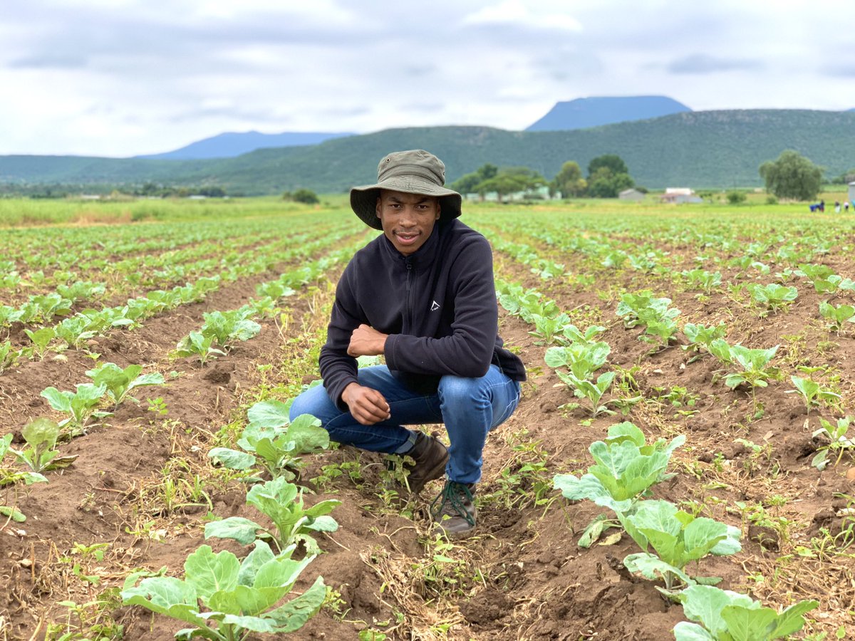 phiko_dlamini's tweet image. Growth 
#youngandfarming #youngandhappy