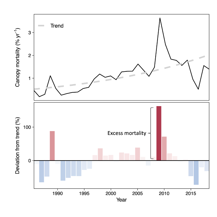 Similar to the current COVID19 crisis, we calculated how forest mortality deviates from its long-term trend. If there is more forest mortality than would be expected, we call this excess mortality. See the figure below for a visualization of the concept.