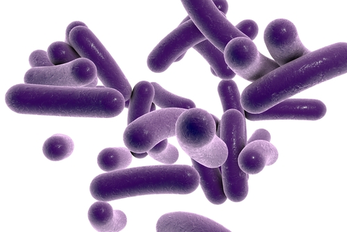 PDSB's tweet photo. Zou de bacterie Brachyspira misschien een #oorzaak kunnen zijn van Prikkelbare Darm Syndroom? Onderzoekers vonden dat deze bacterie bij 30% van de PDS-patiënten in de darmen zit. Er is meer onderzoek nodig of hij ook echt de ziekte/klachten veroorzaakt. 
https://t.co/1wXoBwFiUr https://t.co/IebG6A9FsH