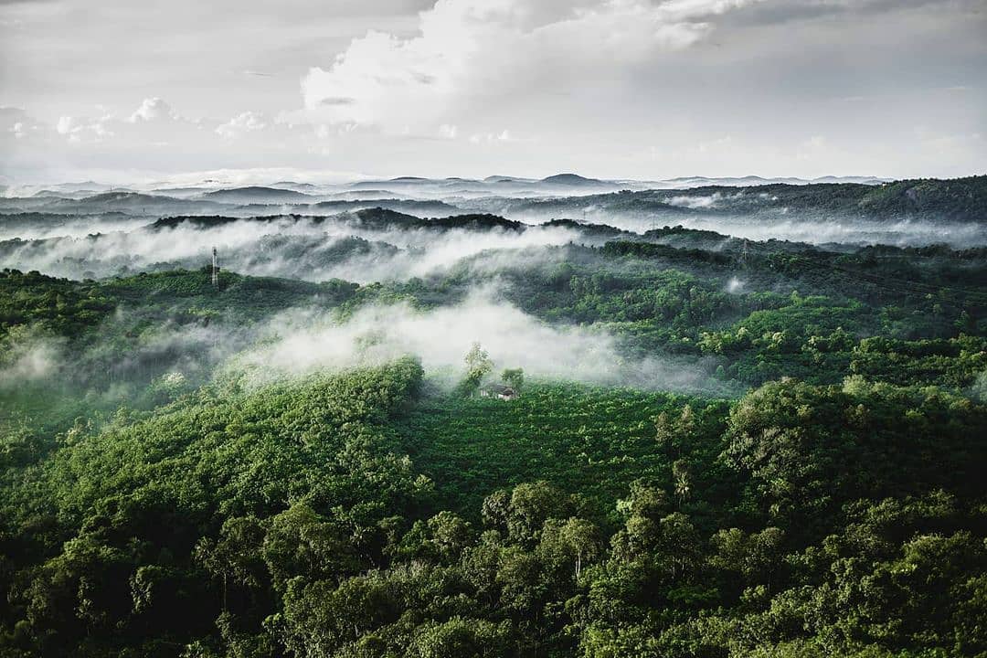 The clouds drift by, playing hide-and-seek with the world. #travelinspiration #ThursdayVibes #keralatourism 

📍 Anjumala View Point, Pathanamthitta. 

©️ Pranav SP