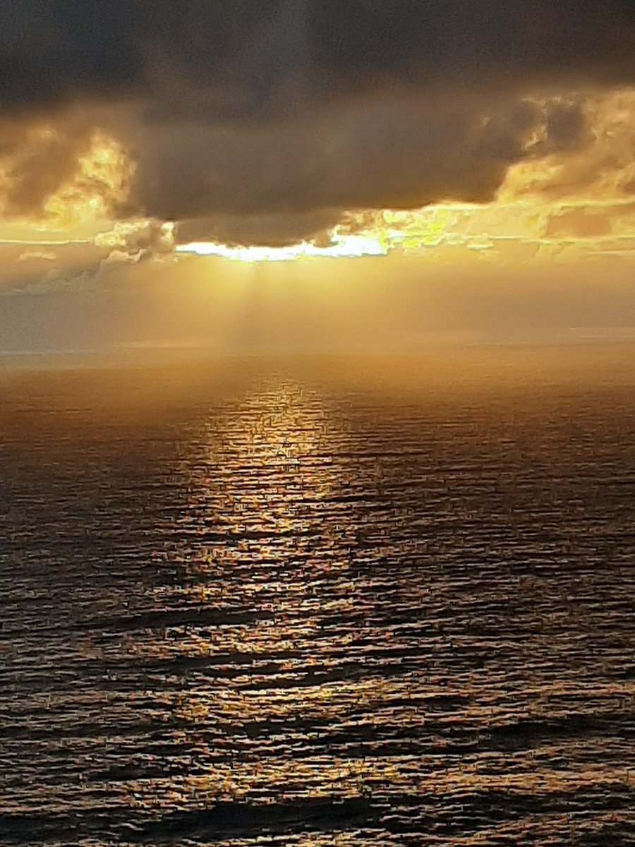 Clare Isl Lighthouse tweet media