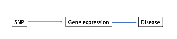 A common assumption of such studies is that the risk variants mechanism goes through gene expression and constructing scores using gene expression, which is more proximal to disease, will offer better prediction.