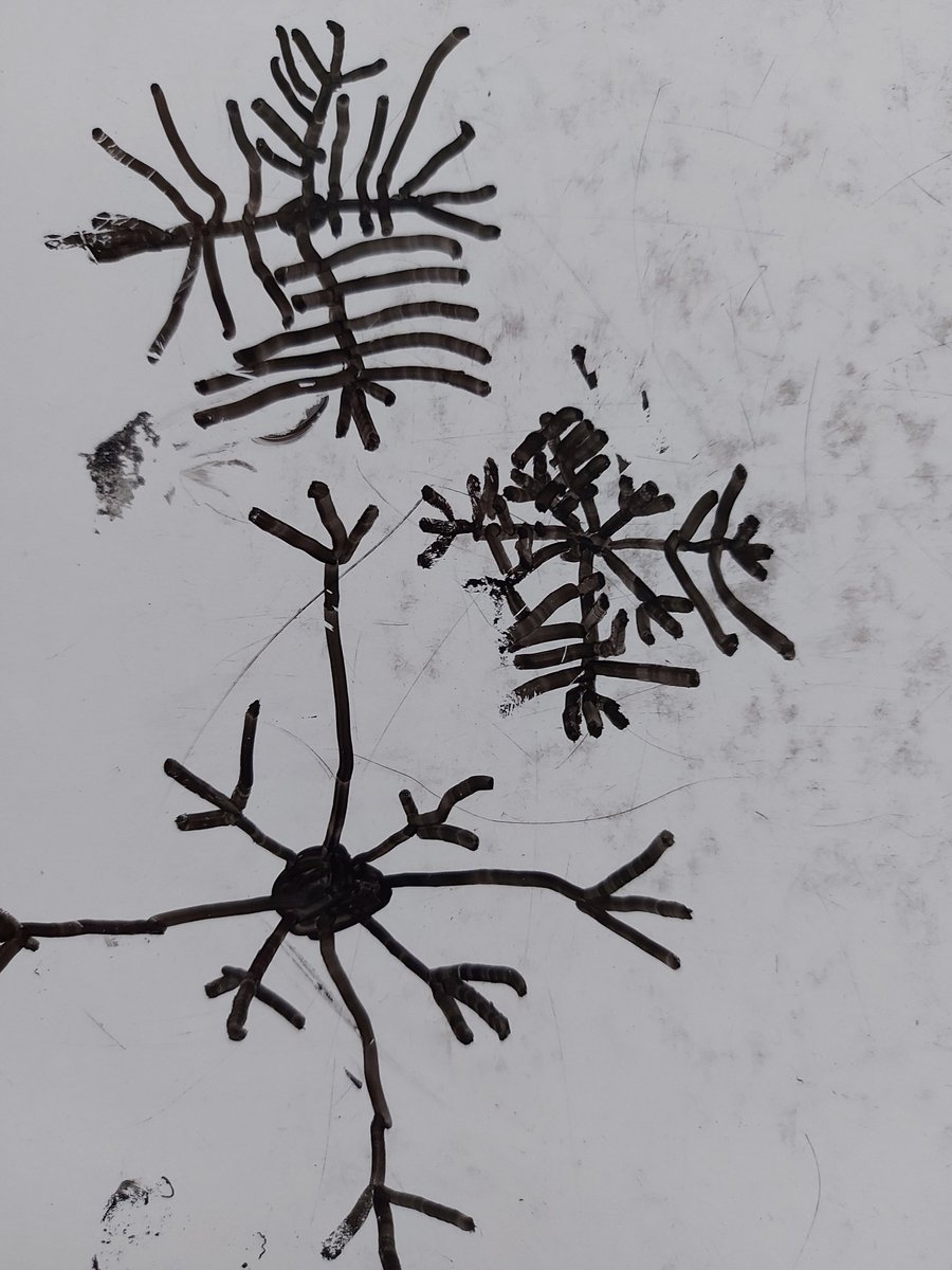 Mrs_Merrie's tweet photo. Investigating Snowflakes and exploring lines in Reception Class 1
@NewSilksAcademy @extoltrust
❄❄❄
#EYFS
#observingchange #finemotorcontrol
#exploringlines https://t.co/RBR3T3y16v