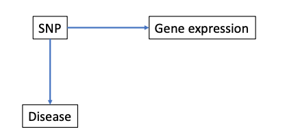 But often the scenario often tend to be like this , where gene expression is a peripheral correlate and is more distal from the disease. As a result gene expression based scores perform poorer than SNP based scores