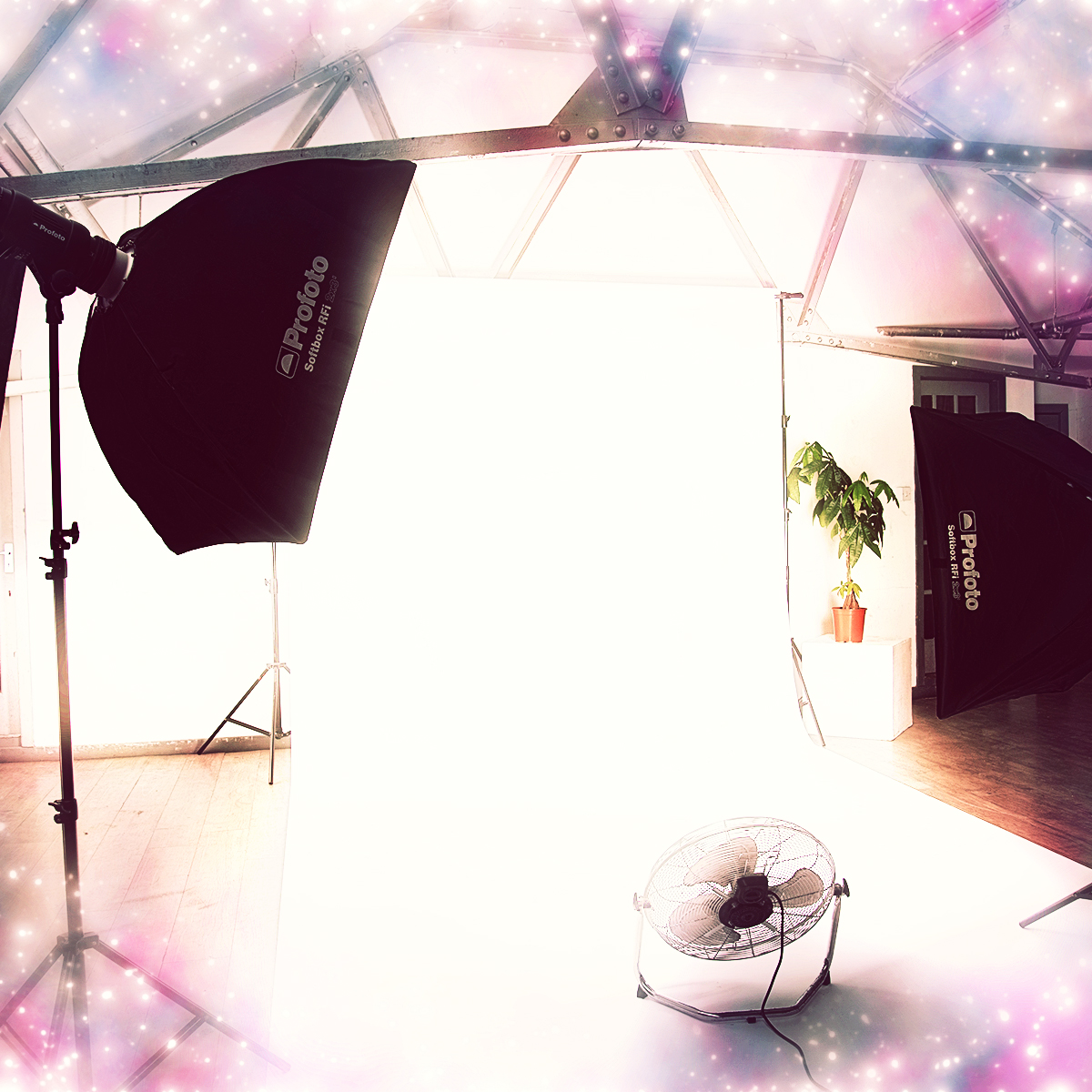 NQStudioBee's tweet photo. Looking for something different to give someone as a present this Christmas? We now offer gift vouchers for our professional photoshoots, with or without a makeover. Full details on our website: https://t.co/xo1kTvAE6v https://t.co/CdD7Ds3hgP