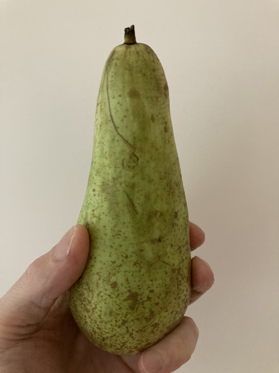 TalePixie's tweet image. Ik ga beginnen aan mijn eindejaarsconference.