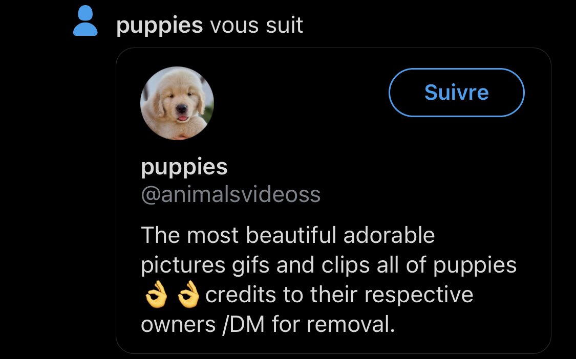 Life goal ✅
<a href="/animalsvideoss/">puppies</a> 😍