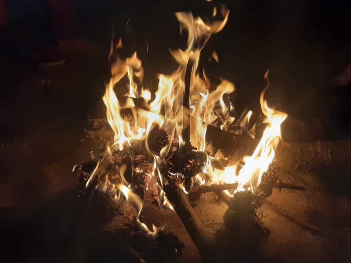 MavinThing's tweet image. @hyalungsokarytamanghomestay