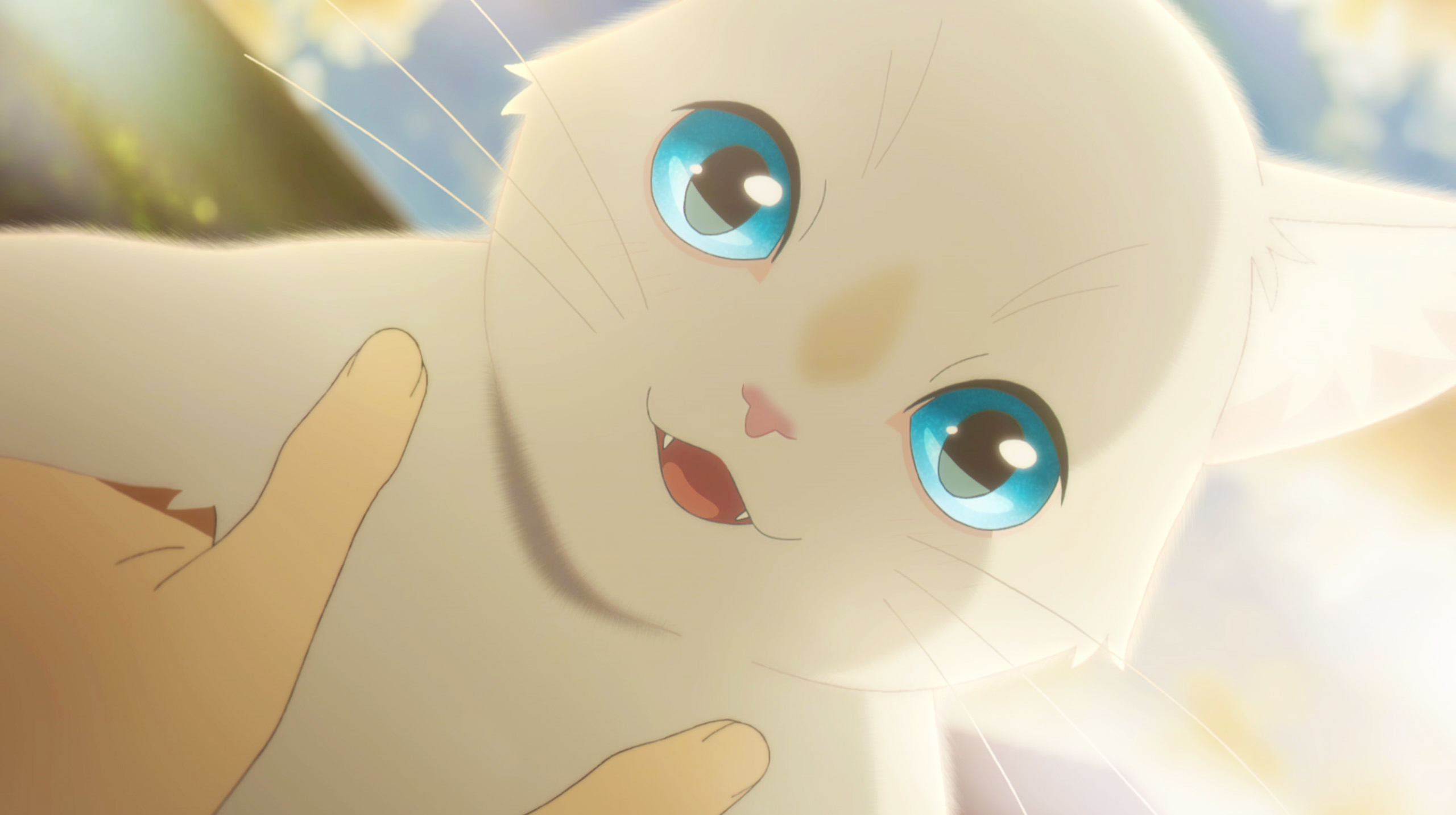 スタジオコロリド Twitterissa 泣きたい私は猫をかぶる が アジア オセアニア各国で制作された映像コンテンツの国際賞レース Asian Academy Creative Awards にて 最優秀アニメーション作品賞を受賞しました なんと アニメ映画での受賞は日本初