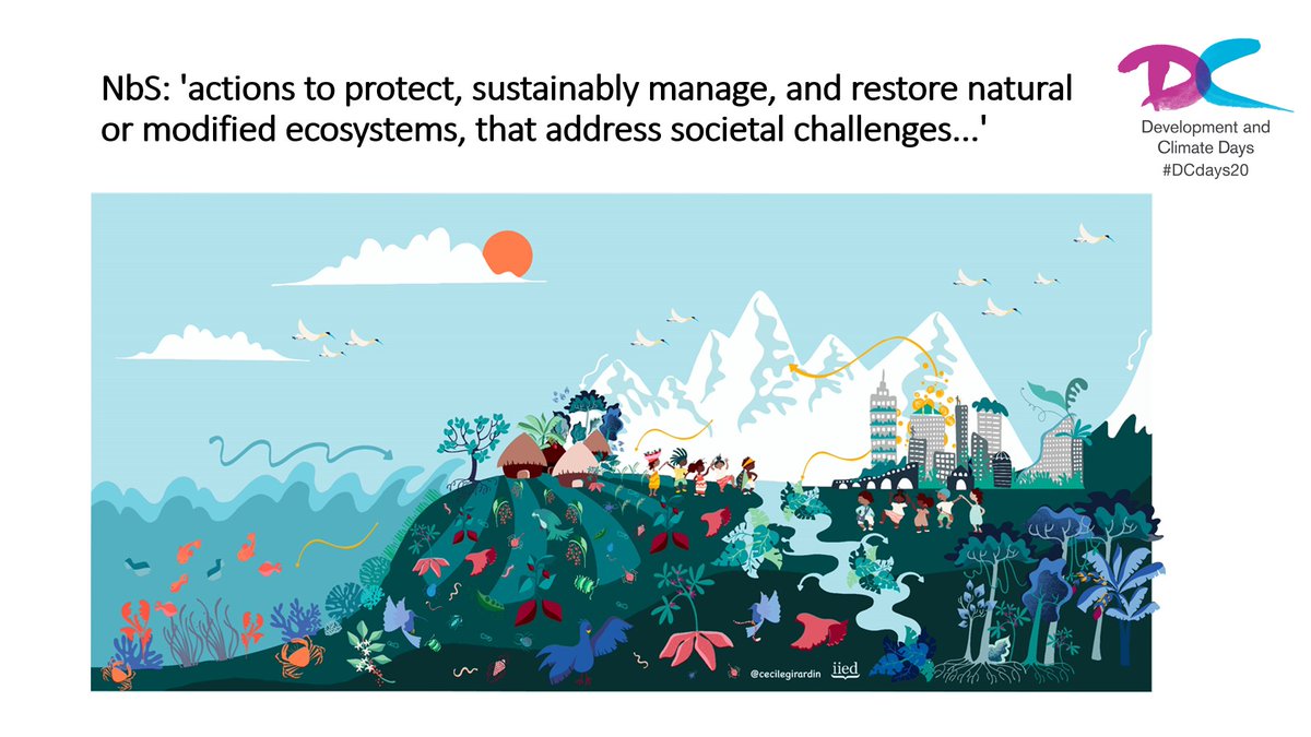 Nature-based solutions are: actions to protect, sustainably manage, and restore natural or modified ecosystems, that address societal challenges like biodiversity loss and climate change.  #DCdays20