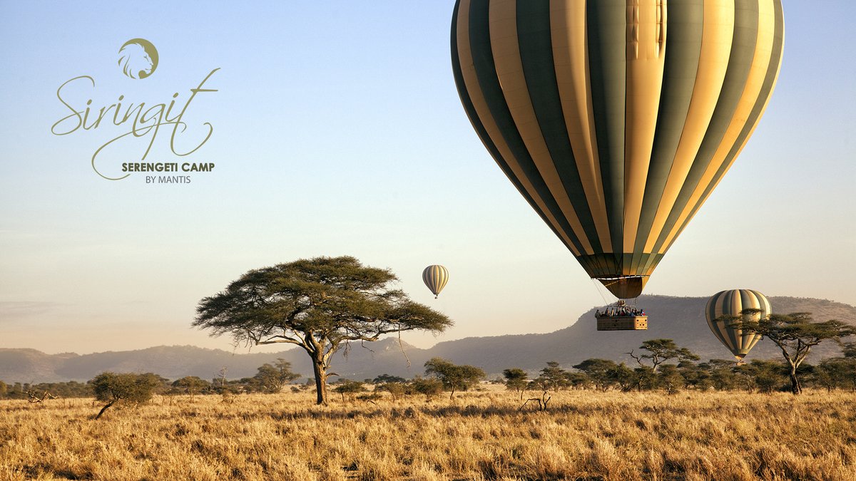 SiringitCamp's tweet photo. In the heart of the Serengeti National Park, Siringit Serengeti Camp encapsulates the Masaai's vision of the region’s #endless plains. Soar above the vast expanses with a balloon safari's, a perfect way to take in the majesty of the Great Migration. https://t.co/KME7QNOxir https://t.co/SRHXQEEiD5