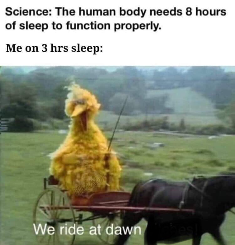 Dave Bauer tweet media