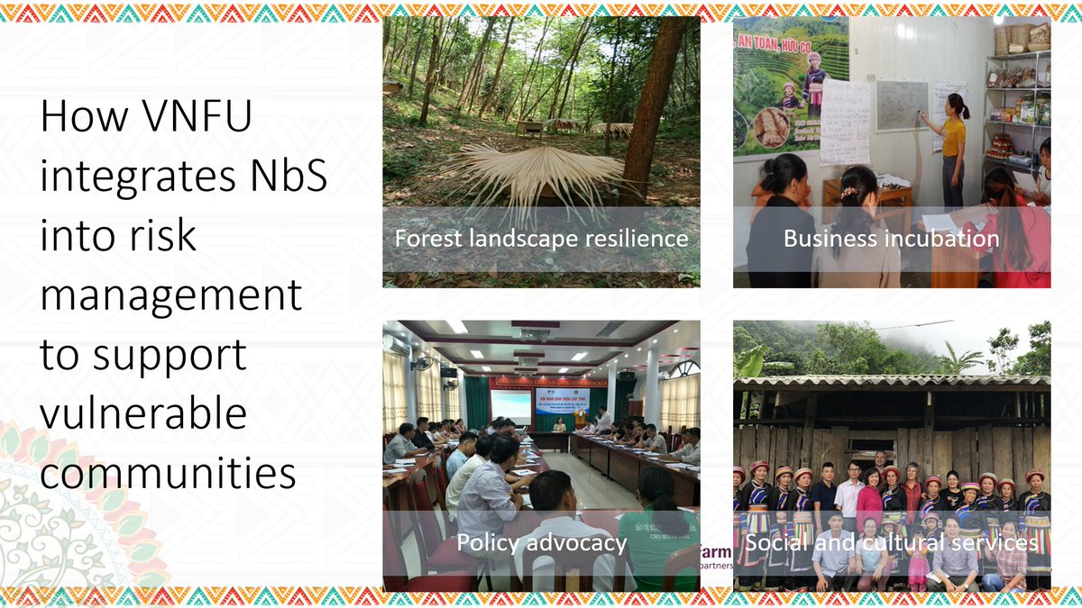 For more on how NbS is supporting forest farmers in their risk management, download 'Thriving in diversity: smallholders organising for climate resilience' -->  https://pubs.iied.org/17732IIED/&nbsp;