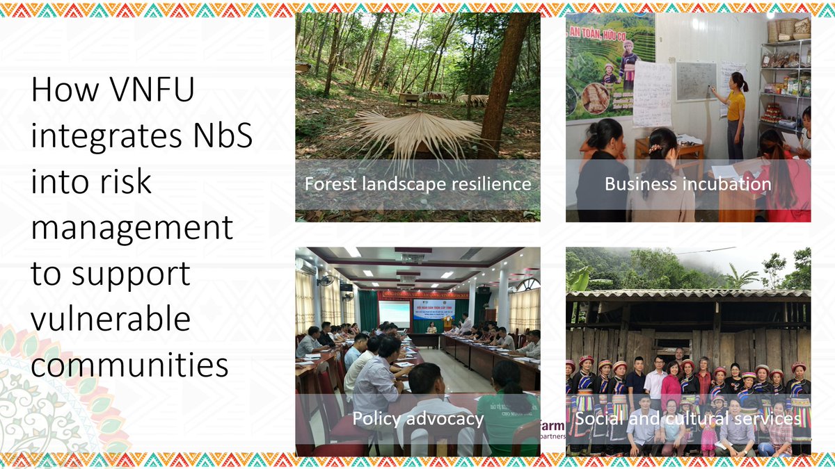 For more on how NbS is supporting forest farmers in their risk management, download 'Thriving in diversity: smallholders organising for climate resilience' -->  https://pubs.iied.org/17732IIED/ 